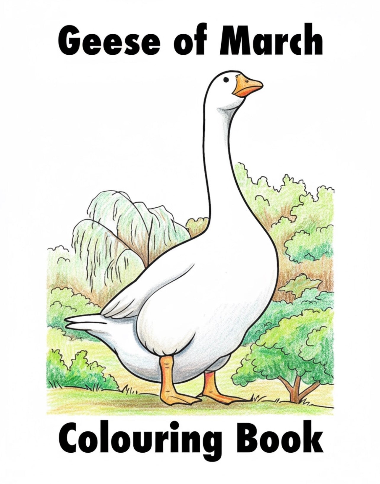 Goose Colouring Book