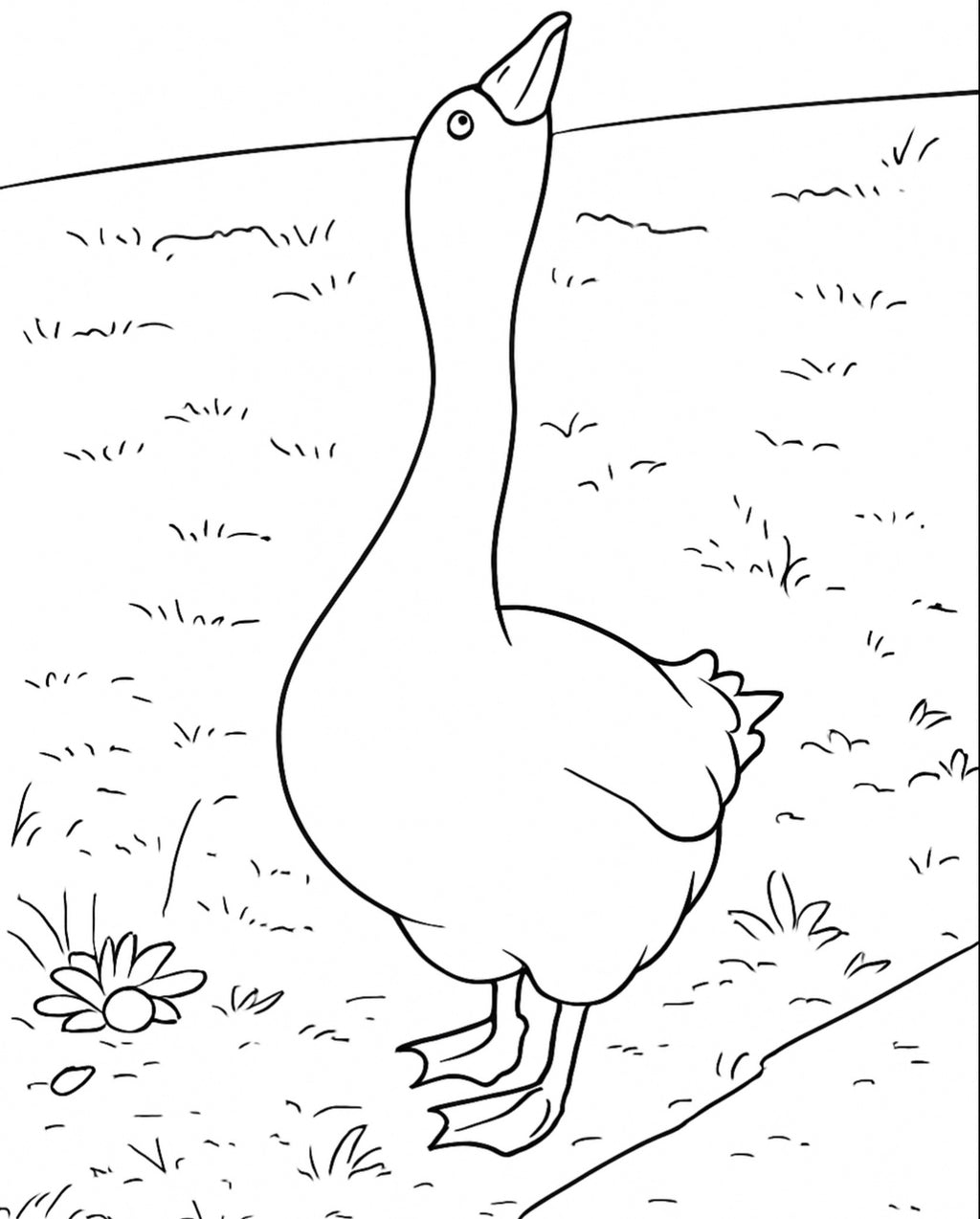 Goose Colouring Book